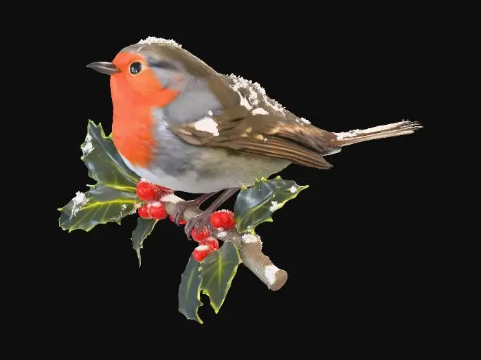 3D model for Robin redbreast, perched on a holly twig with red berries