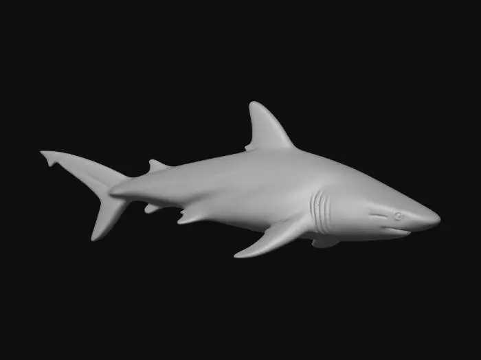 3D model for Midnight Shadow Shark