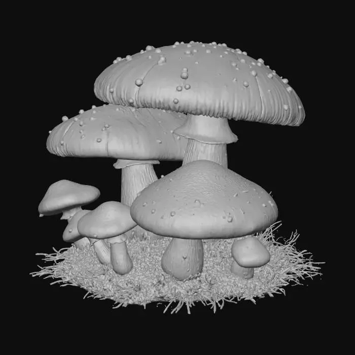 3D model for 3 mushrooms and 5 toadstools in a group