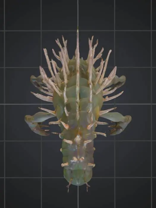 3D model for Its body is tall and narrow, covered in smooth, pearlescent plates that shimmer like oil on water. From its shoulders sprout two long, insect-like arms ending in three hooked claws, while lower down, four shorter limbs resemble a mix between a crab’s legs and bird talons. Its head is shaped like a teardrop turned upside down, with a single vertical slit eye glowing faint green in the center. A crown of thin, flexible spines extends backward, each tipped with a faintly glowing orb. Along its back, a row of small, fin-like ridges ripple when it moves. Instead of feet, it balances on a ring-shaped structure, rolling silently across the ground while its limbs sway in slow, deliberate motion.
