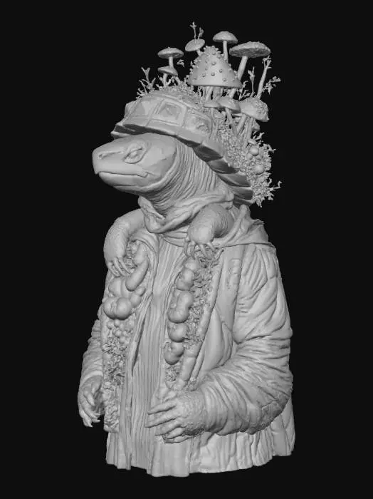 3D model for Tortoise of the Fungi Forest