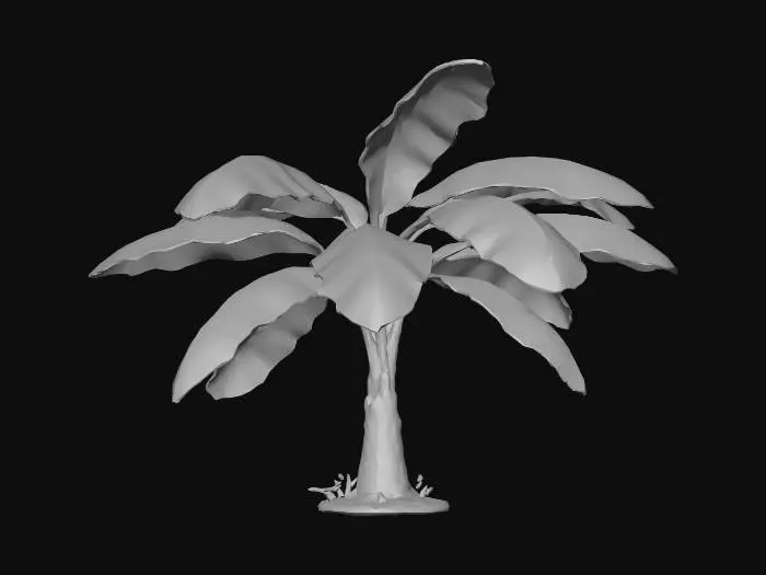 3D model for Banana Plant X