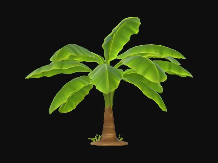 3D model for Banana Plant X