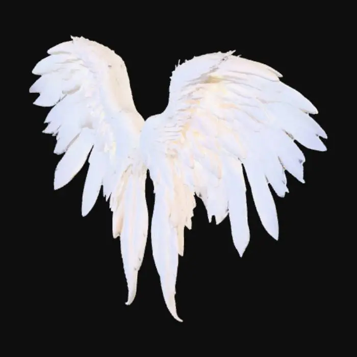 3D model for Three delicate, individual angel wings, each perfectly sculpted and sized to collectively or individually cover the eye. They possess an ethereal, light appearance, crafted from luminous white feathers that shimmer with a soft, iridescent glow. Each feather feels incredibly fine and downy, creating a visually soft and luxurious texture. The wings are gracefully curved, with a slight translucency at their edges, suggesting a celestial origin and a weightless quality.