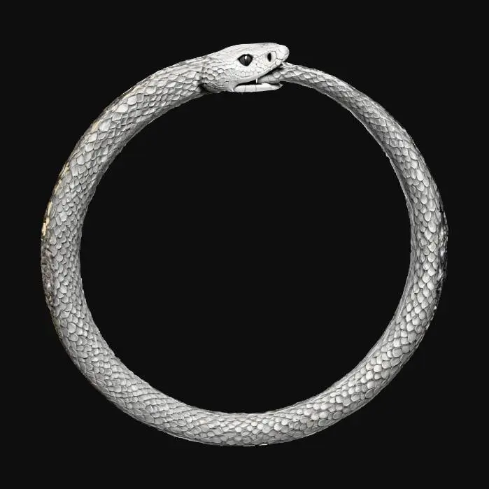 3D model for Ouroboros