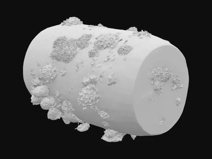 3D model for Corroded iron plating covered partially with green sea moss and barnacles