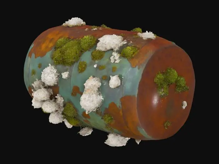 3D model for Corroded iron plating covered partially with green sea moss and barnacles