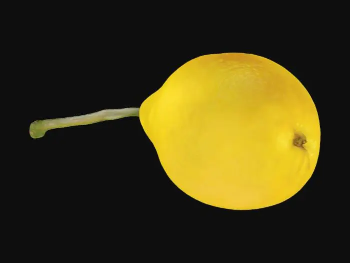 3D model for Golden Pear in Watercolor, #SketchTo3D#