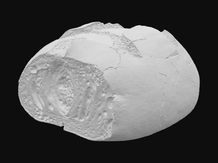 3D model for #food# Stardust bread, sprinkled with sparkling dust that feels like biting into the galaxy