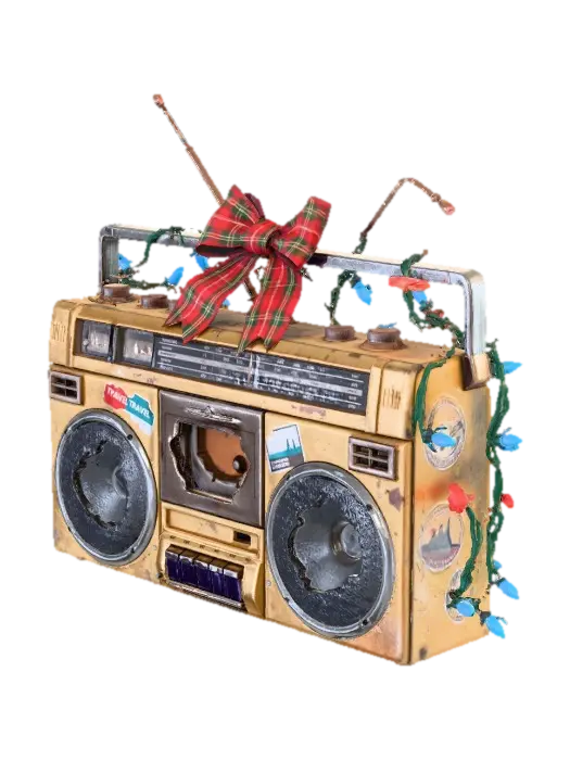 Audio & Cameras