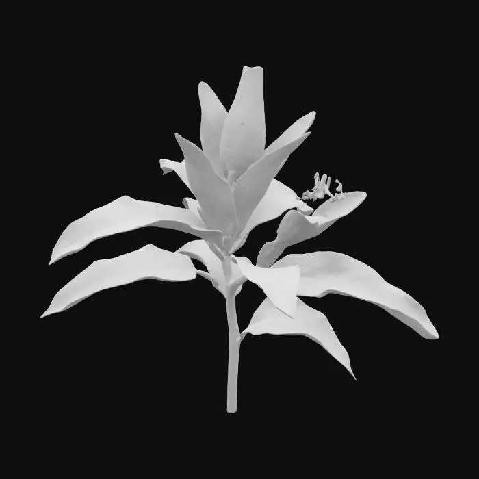 3D model for Luminous Lily, #SketchTo3D#