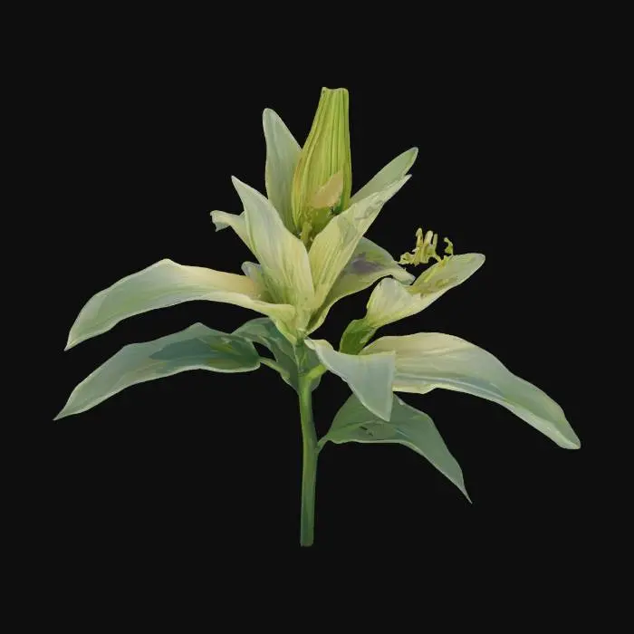 3D model for Luminous Lily, #SketchTo3D#