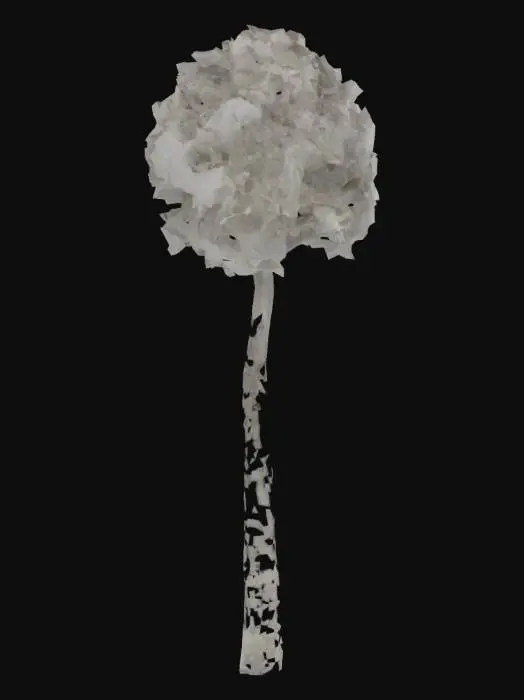 3D model for Towering Redwoods