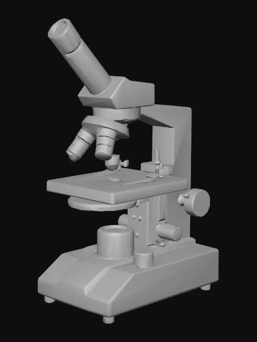 3D model for microscope