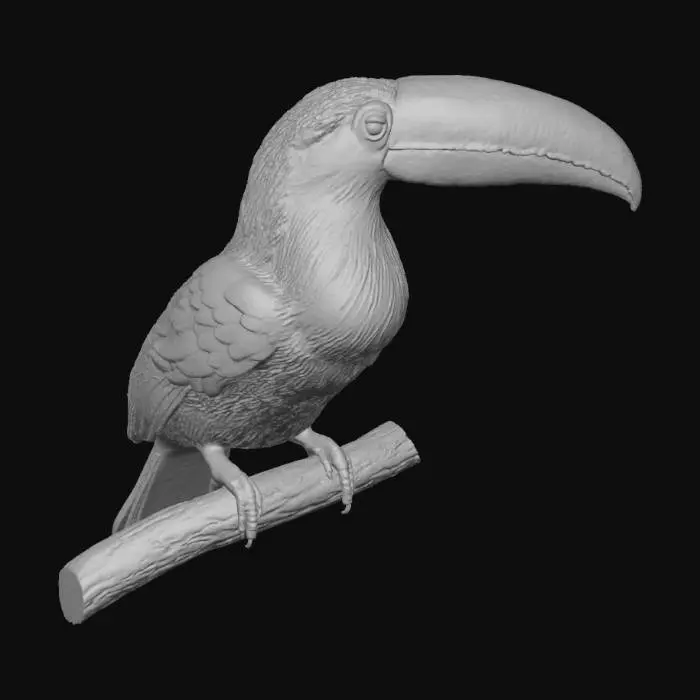3D model for a colorful toucan native to the amazon rain forest
