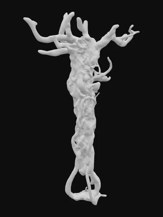 3D model for Twisted Tendrils