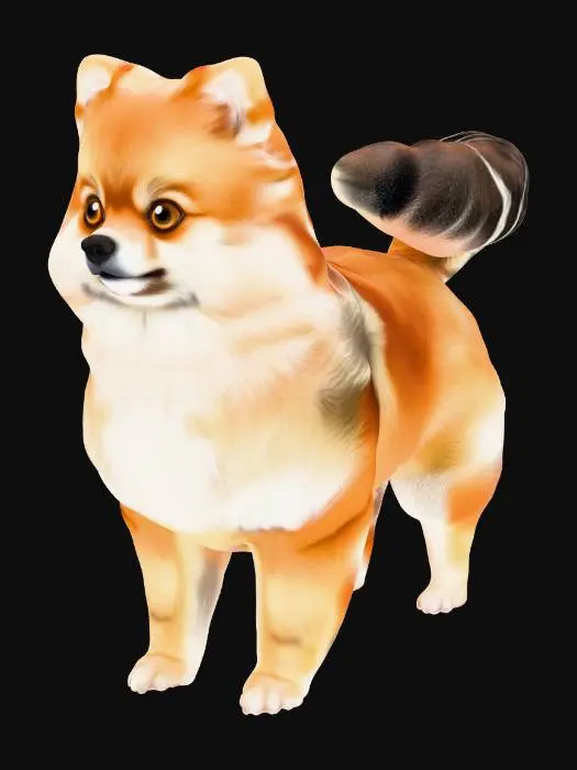 3D model for Fluffy Pom