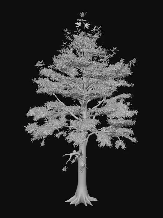 3D model for a single maple tree