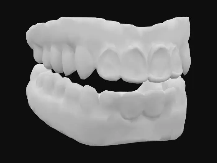 3D model for Gold and Silver Teeth Grills Diagram
