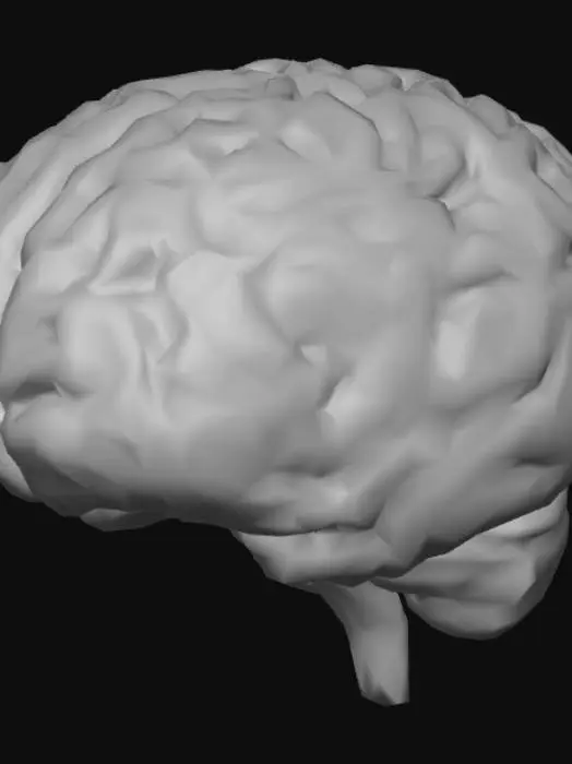 3D model for A 3d model of the brain.