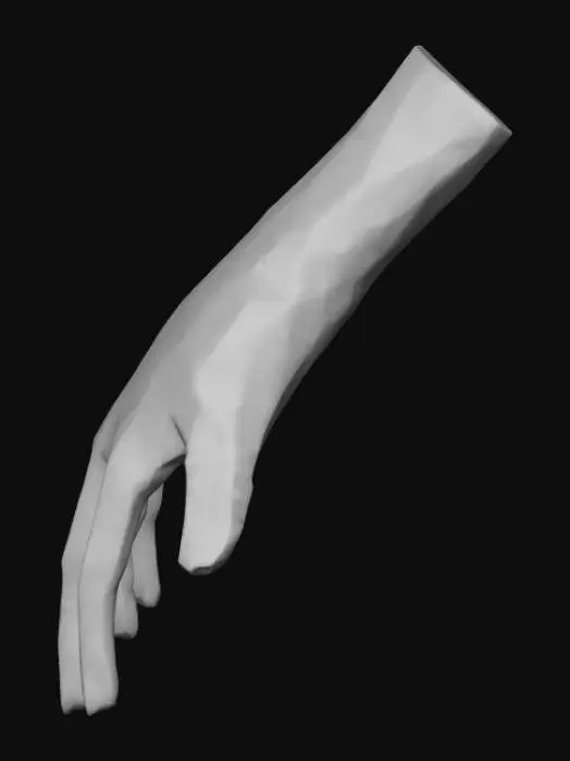 3D model for A 3d model of lower hand