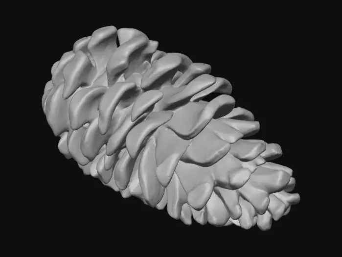3D model for Autumn Jumbo Pine Cone, #Thanksgiving#