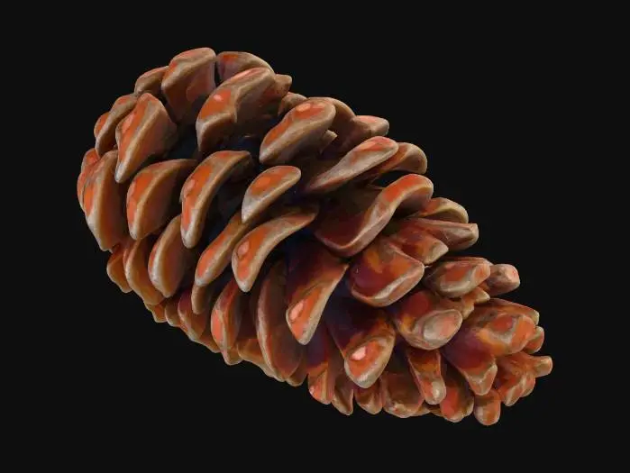 3D model for Autumn Jumbo Pine Cone, #Thanksgiving#