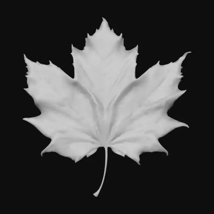 3D model for Autumn Maple Leaf, #Thanksgiving#