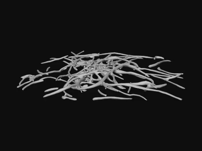 3D model for A small number of twigs and pebbles scattered