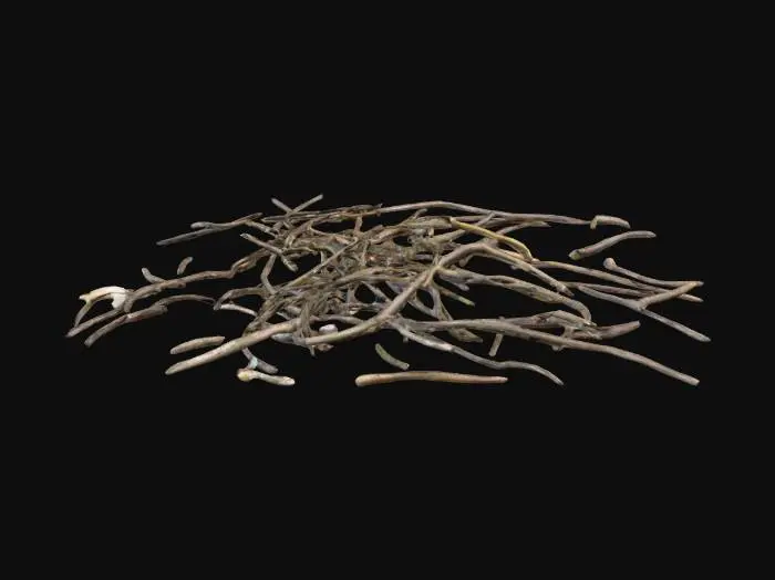 3D model for A small number of twigs and pebbles scattered