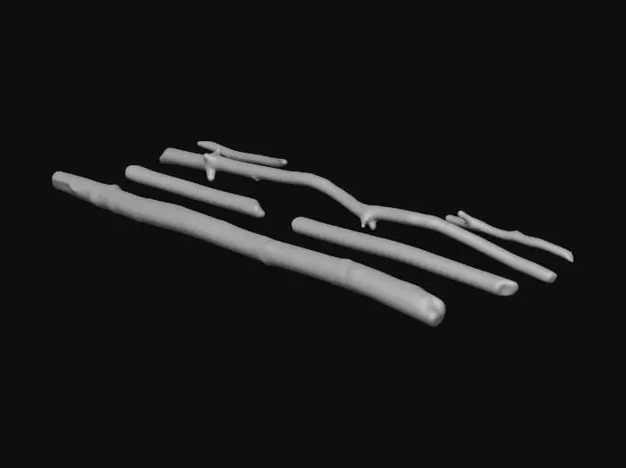 3D model for A small number of twigs and pebbles scattered