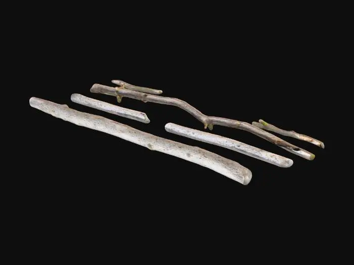 3D model for A small number of twigs and pebbles scattered