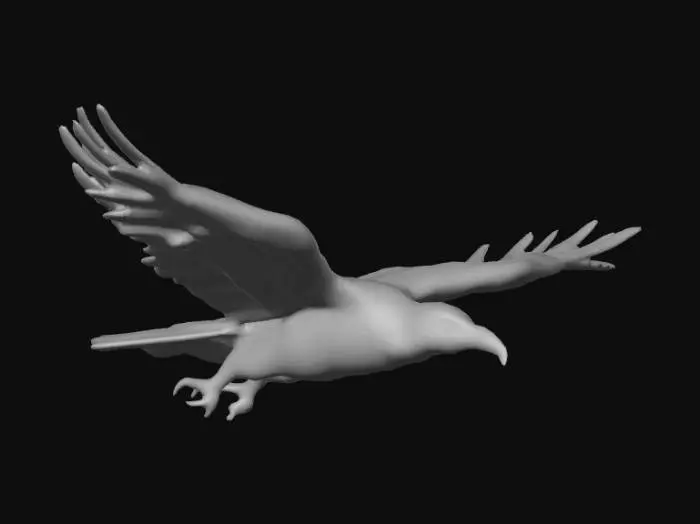 3D model for Midnight Flight