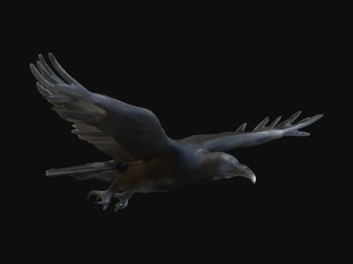 3D model for Midnight Flight