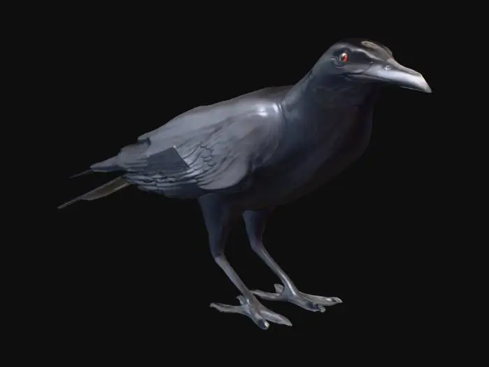 3D model for Raven Majesty