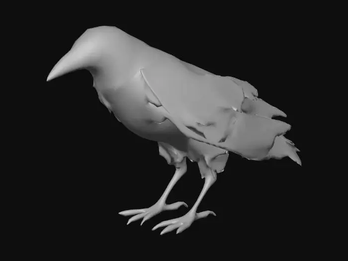 3D model for Raven's Profile