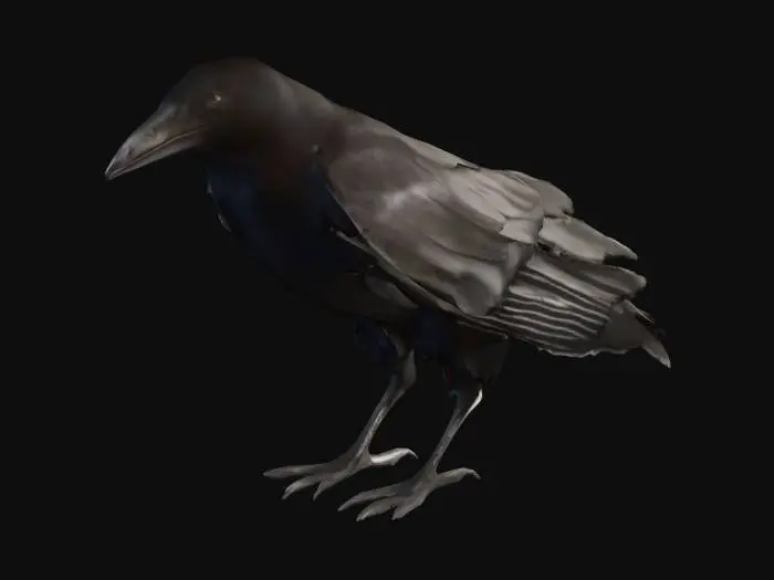 3D model for Raven's Profile