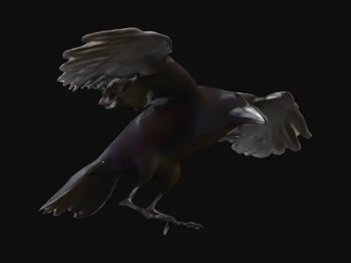 3D model for Raven's Flight