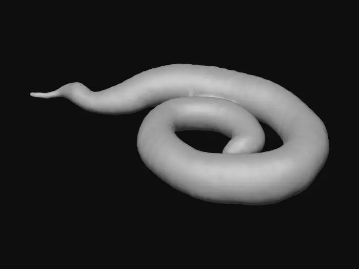 3D model for A big long juicy earthworm