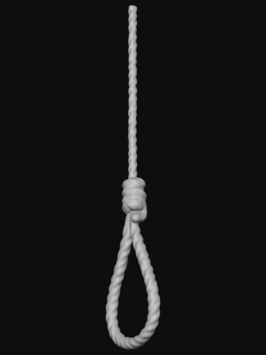 3D model for A noose hanging down