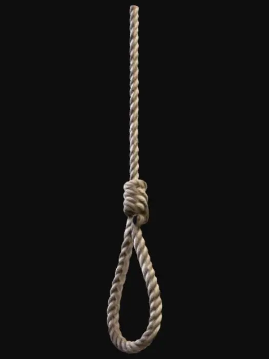 3D model for A noose hanging down