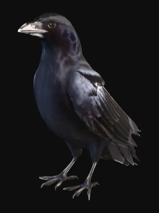 3D model for Raven Portrait