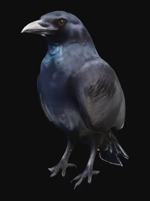 3D model for Raven's Gaze