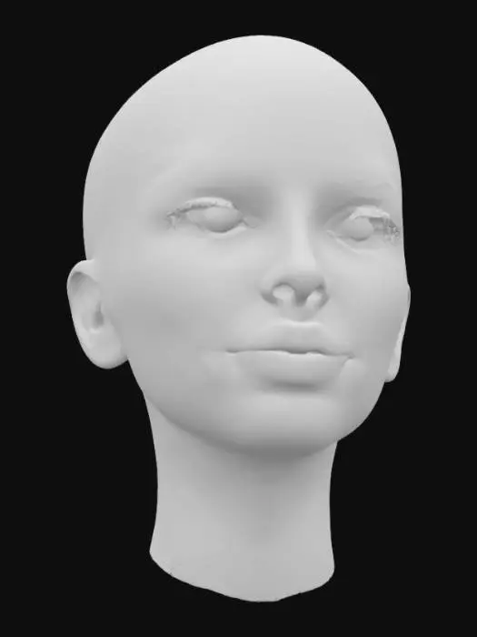 3D model for A sharp realistic face of a women model. Catching the most intricate details of the eyes simple facial features.