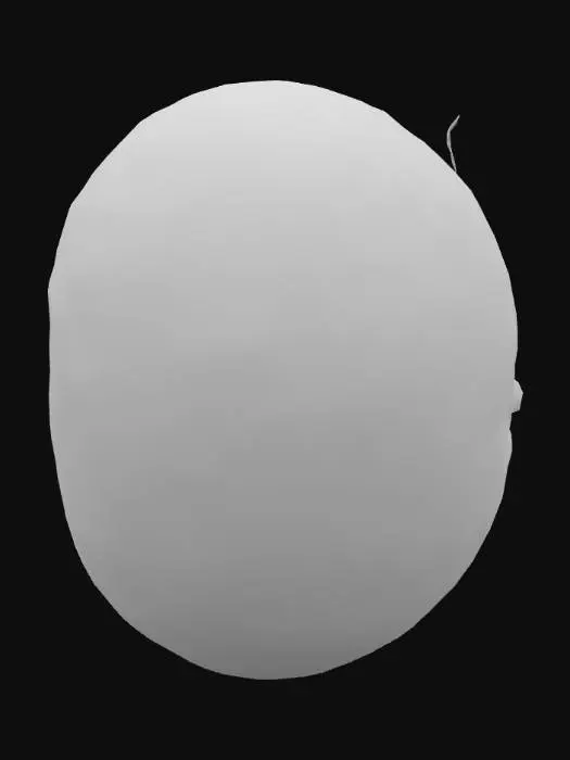 3D model for create a left and right eye anatomy of a human being make it realistic with veins and all