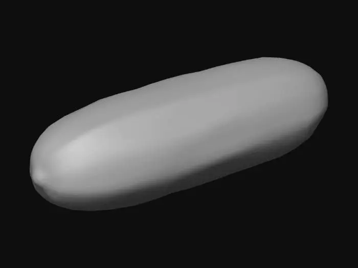 3D model for cucumber