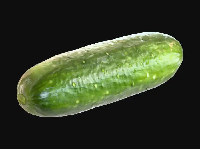 3D model for cucumber