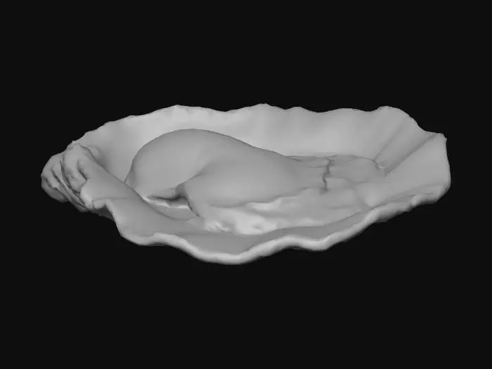 3D model for oyster