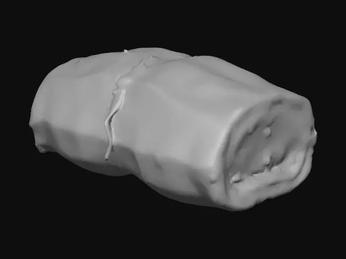 3D model for Salted meat