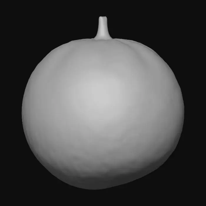 3D model for orange